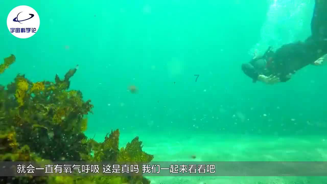 见证者