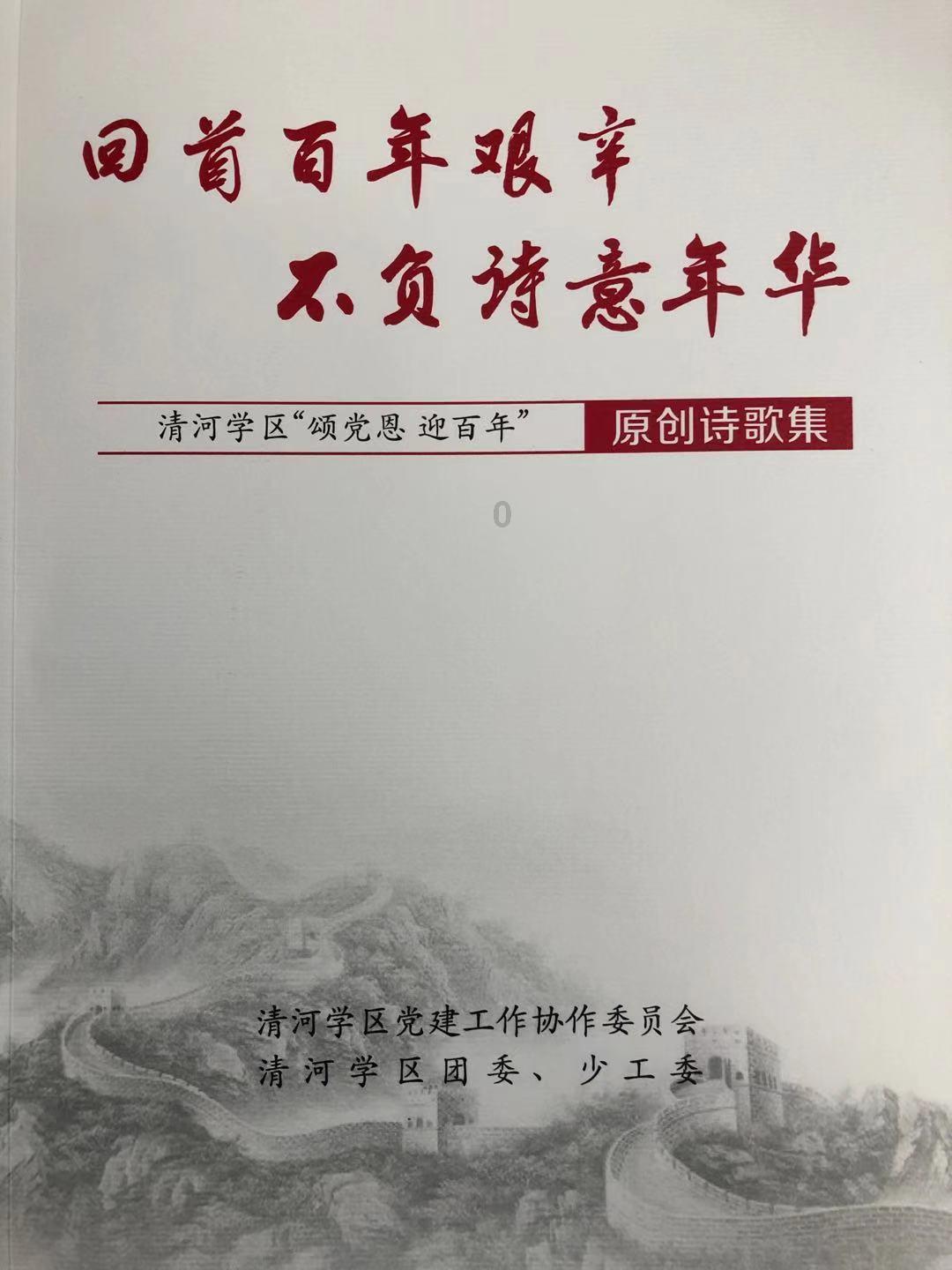 龙居镇“微力量”释放“大能量”